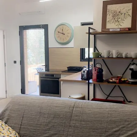 Bel Dans Avec Piscine En Corse Du Sud Appartement Grossa