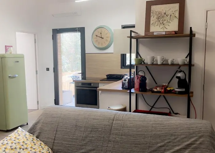 Bel Dans Avec Piscine En Corse Du Sud Appartement Grossa